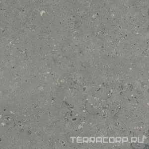 Керамогранит Гранитея Аркаим Arkaim Grey G213/ серый мат .60x60 Серый 