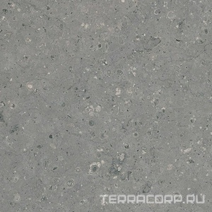 Керамогранит Гранитея Аркаим Arkaim Grey G213/ серый мат .60x60 Серый 