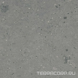 Керамогранит Гранитея Аркаим Arkaim Grey G213/ серый мат .60x60 Серый 
