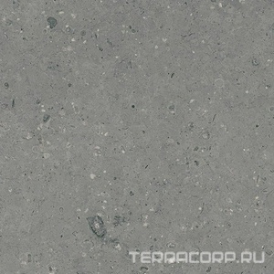 Керамогранит Гранитея Аркаим Arkaim Grey G213/ серый мат .60x60 Серый 