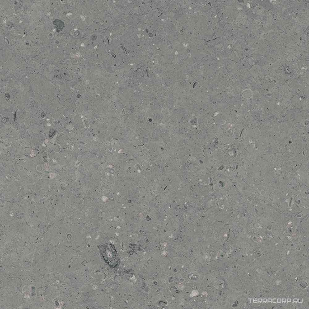 Arkaim Grey G213/Аркаим серый мат .60x60