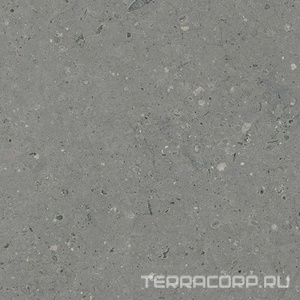 Керамогранит Гранитея Аркаим Arkaim Grey G213/ серый мат .60x60 Серый 