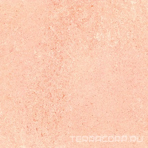 Керамогранит Гранитея Шунут Shunut Brown G304/ коричневый мат.XXZZ 60x60 Бежевый 