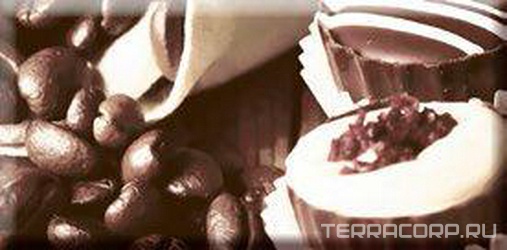 Керамическая плитка Absolut Keramika Monocolor 10x20 Decor Chocolat Cake 01 10x20 Комбинированный 