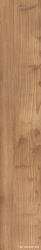 Just Mix Miele ZZ|20x120