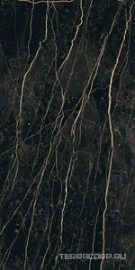 Керамогранит Florim Prexious of Rex Thunder Night Mat 60x120 Черный 