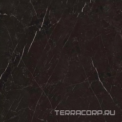 Marquinia Glossy ZZ 80x80