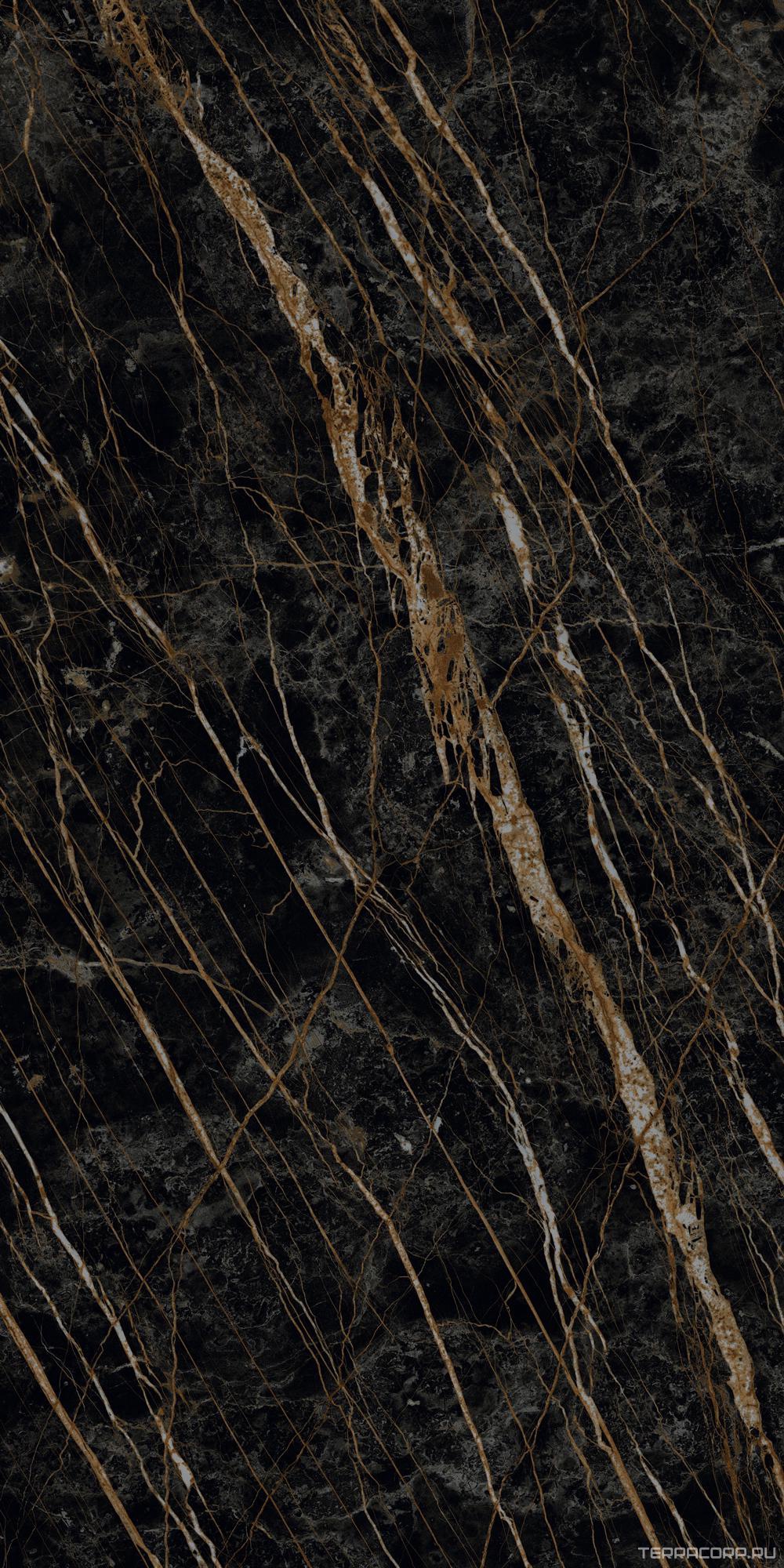 Керамогранит Laminam I Naturali Marmi Noir Desir Lucidato 12.5 mm ZZ162x324 Черный, фото 4