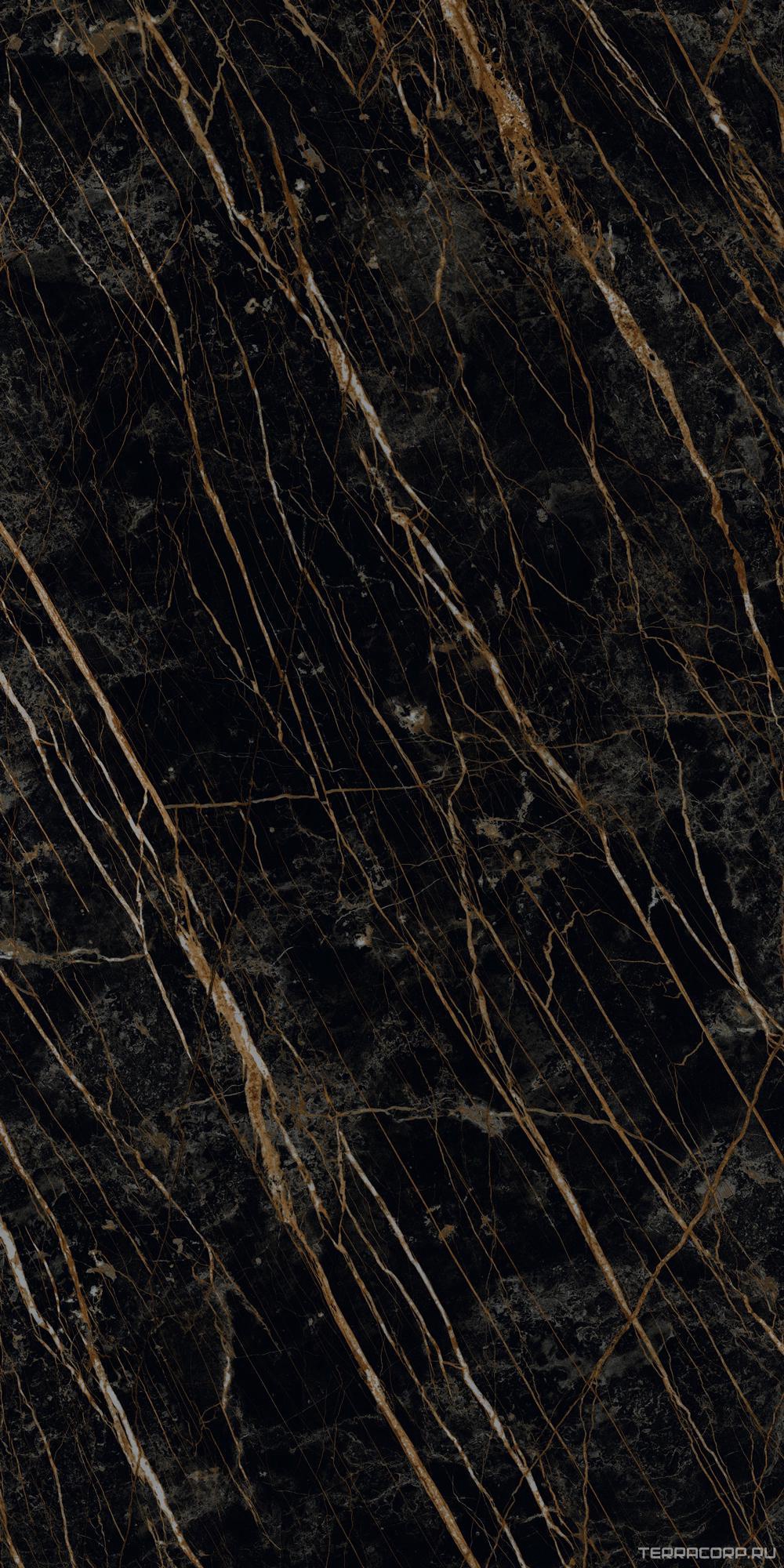 Керамогранит Laminam I Naturali Marmi Noir Desir Lucidato 12.5 mm ZZ162x324 Черный, фото 6