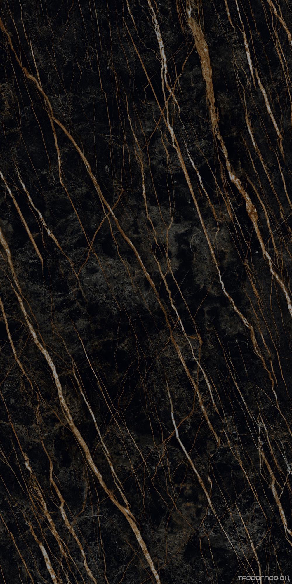 Керамогранит Laminam I Naturali Marmi Noir Desir Lucidato 12.5 mm ZZ162x324 Черный, фото 5