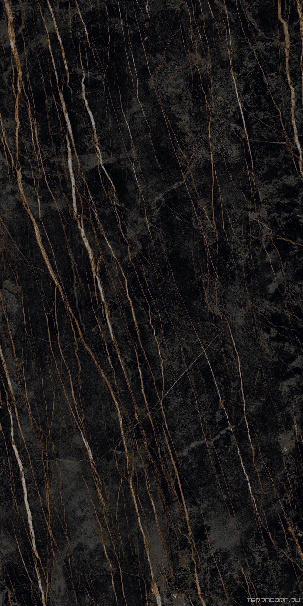 Керамогранит Laminam I Naturali Marmi Noir Desir Lucidato 12.5 mm ZZ162x324 Черный, фото 7