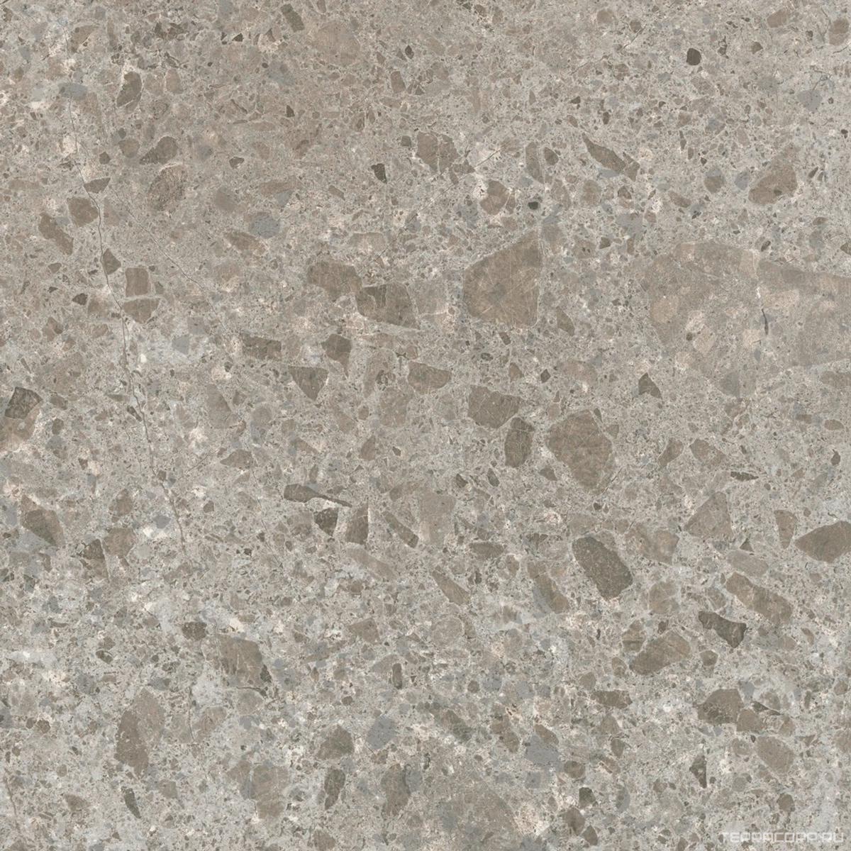 Керамогранит Ariostea Fragmenta Grigio Luminoso Soft 60x60 Серый, фото 6