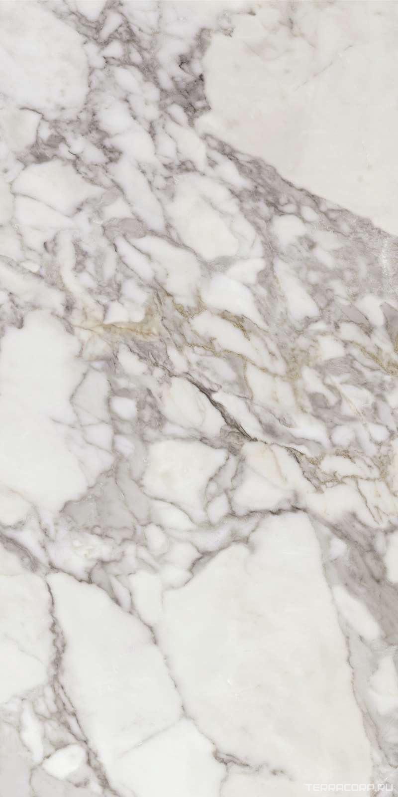 Керамогранит APE Ceramica Calacatta Silver pol/rect ZZ 60х120 Белый, фото 3