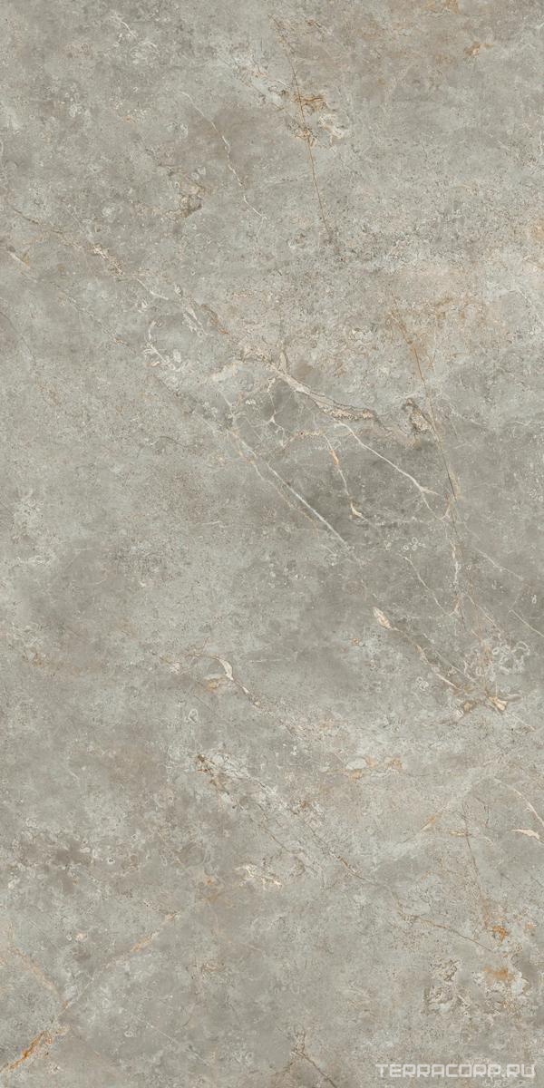 Керамогранит Ariostea Marmi Classici Fior di Bosco Soft 60x120 Серый, фото 7
