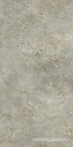 Керамогранит Ariostea Marmi Classici Fior di Bosco Soft 60x120 Серый 