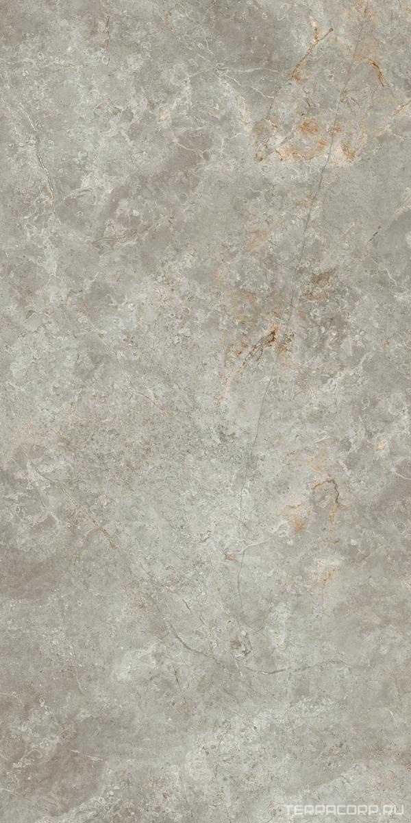 Керамогранит Ariostea Marmi Classici Fior di Bosco Soft 60x120 Серый, фото 4