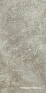 Керамогранит Ariostea Marmi Classici Fior di Bosco Soft 60x120 Серый 