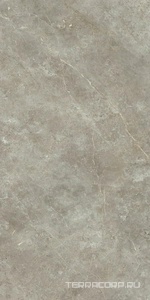 Керамогранит Ariostea Marmi Classici Fior di Bosco Soft 60x120 Серый 