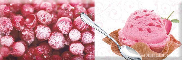 Decor Candy Fruits 05 KL |10x30