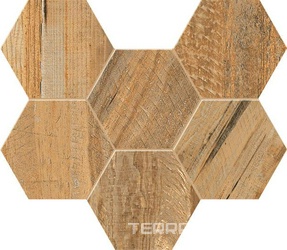 Mosaico Hexagon Spanish Wood 00 ZZ|25x28.6