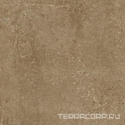 Гранит Перла коричневый MR матовый ХХ 60x60