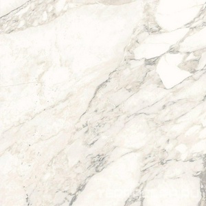 Керамогранит Ariostea Marmi Classici Arabescato Classico Luc 60x60 Комбинированный 