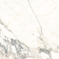 Arabescato Classico Luc ZZ |60x60