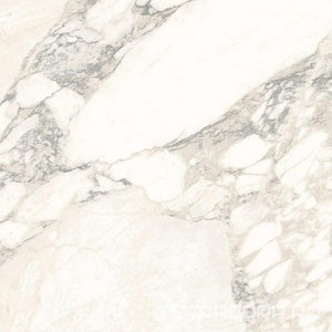 Керамогранит Ariostea Marmi Classici Arabescato Classico Luc 60x60 Комбинированный 