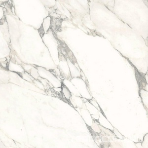 Керамогранит Ariostea Marmi Classici Arabescato Classico Luc 60x60 Комбинированный 