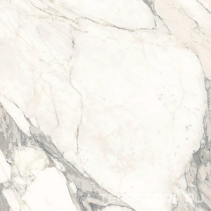 Керамогранит Ariostea Marmi Classici Arabescato Classico Luc 60x60 Комбинированный 