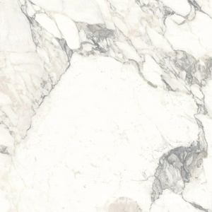 Керамогранит Ariostea Marmi Classici Arabescato Classico Luc 60x60 Комбинированный 