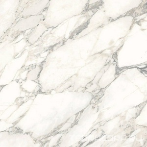 Керамогранит Ariostea Marmi Classici Arabescato Classico Luc 60x60 Комбинированный 