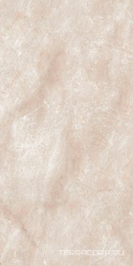 Керамогранит Гранитея Сугомак Sugomak Brown G324/ коричневый мат.60x120 Коричневый 