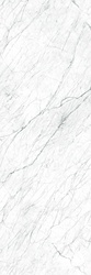 I Naturali Statuarietto Lucidato 5.6  ZZ |100x300