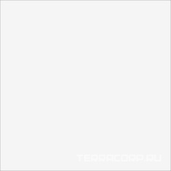 Monocolor white RAL9016 PG 01 |600х600