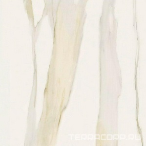 Керамогранит Florim Magnum I Classici di Rex Calacatta Gold Glossy 120x120 Белый 