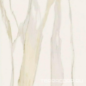 Керамогранит Florim Magnum I Classici di Rex Calacatta Gold Glossy 120x120 Белый 