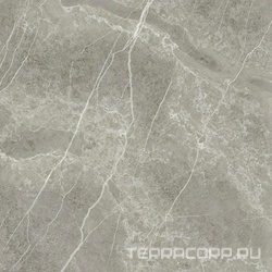 Laurent Grey NPlus ZZ |90x90