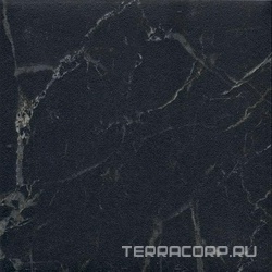 Сансеверо черный|9.8х9.8