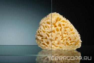 Закаленное стекло 6 мм 475*1828 прозрачное NEW (ЗАПЧАСТЬ) ZZ