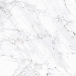 Керамогранит ProGRES Ceramica Калакатта  светло-серый матовый 60х60 Серый 