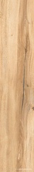 Daring Honey |24x120