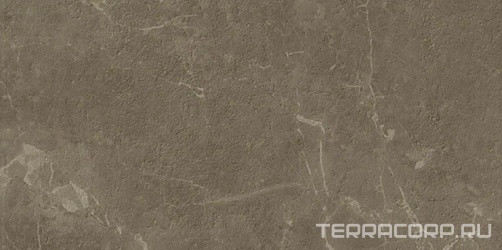 Керамогранит AtlasConcorde Россия Supernova Stone S.S. Grey Wax 30X60 / С.С. Грей 30х60 Вакс Рет. Серый 