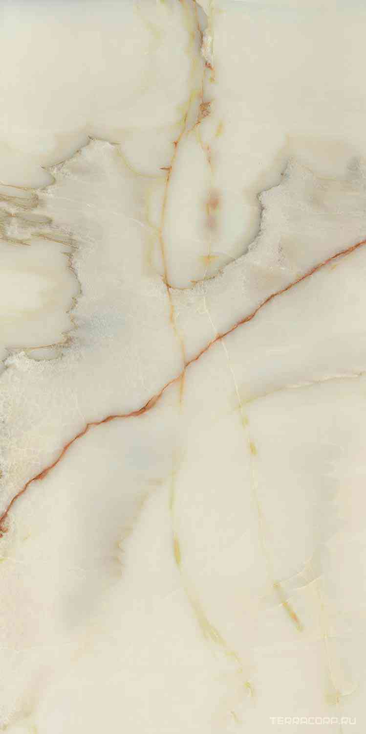 Onyx Blanche Glossy ZZ 120x240