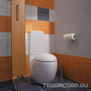 Чаша напольного унитаза 39х72см, БЕЗ бачка и сиденья, крепл. к полу в компл., Alessi Laufen alessi 8.2297.6.400.000.1