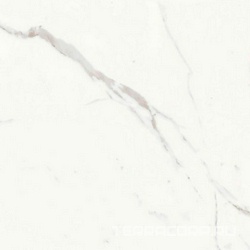 Statuario Classico Luc ZZ |60x60