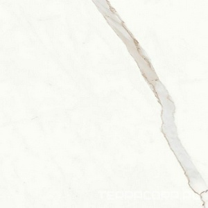 Керамогранит Ariostea Marmi Classici Statuario Classico Luc 60x60 Белый 