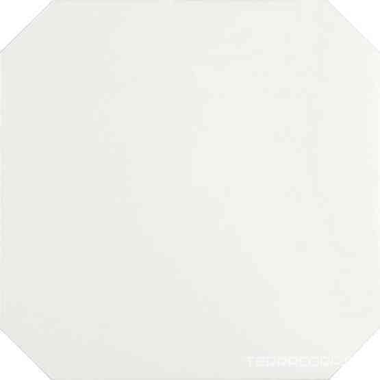 Eight White 20x20