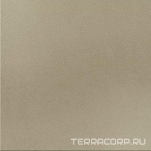 Керамогранит Уральский гранит Уральские фасады Грес Уральский  UF036 кварц моноколор полированный60x60 Серый 