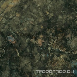 Marvel Brazil Green 75x75 Lappato 75x75 XX